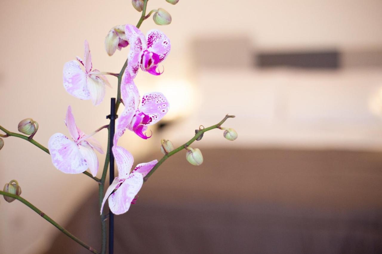 Casapaola B&B Rooms Acireale Εξωτερικό φωτογραφία